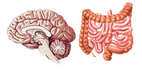 somatic scrawlings soma says