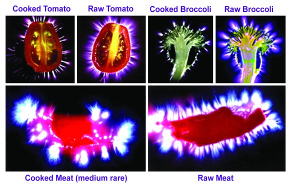 kirlian photography food.jpg
